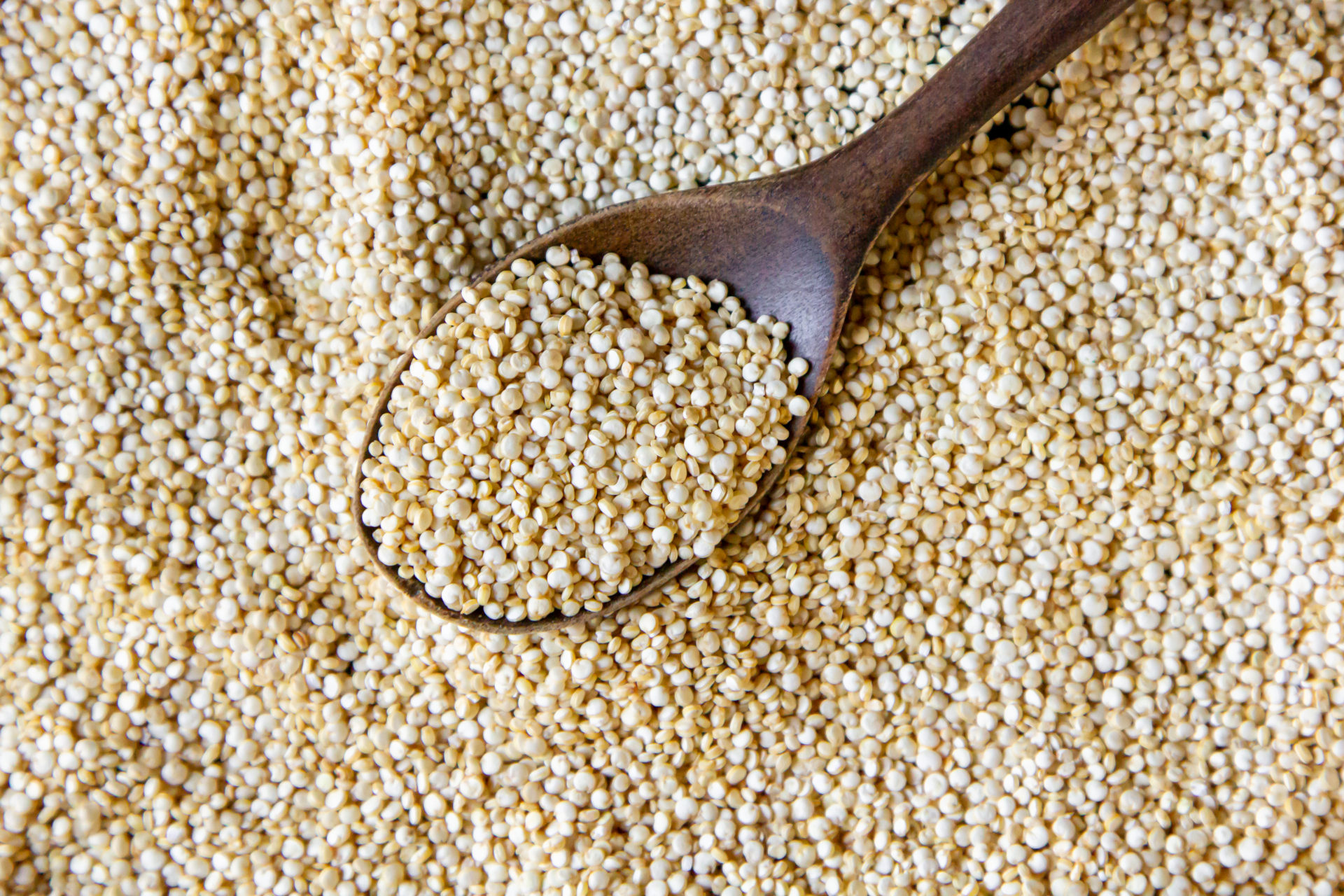 You are currently viewing Quinoa – Čo to je + 4 TOP Quinoa recepty